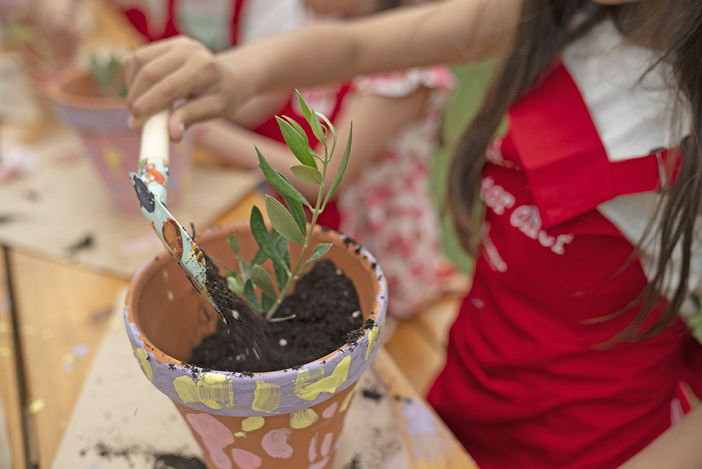 puting dirt in pot to plant